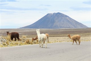 Bolivia weather forecast