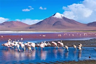 Bolivia pronóstico del tiempo