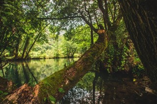 Bosnia and Herzegovina weather forecast