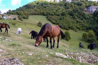 Bosnia and Herzegovina weather forecast