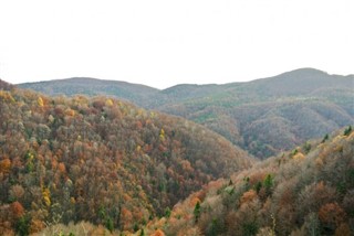 Bosnia and Herzegovina weather forecast