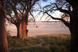 Botswana weather forecast