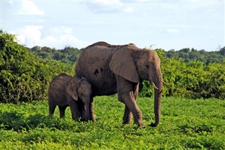 Botswana weersvoorspelling