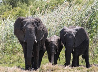 Botswana sääennuste