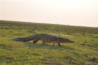 Botswana sääennuste