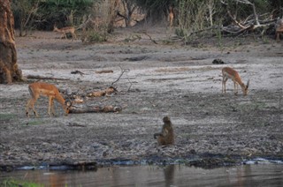 Botswana sääennuste