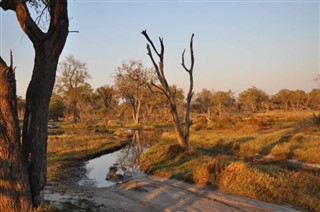 Botswana weather forecast