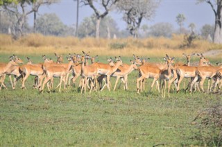 Botswana weersvoorspelling