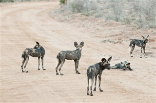 Botswana sääennuste