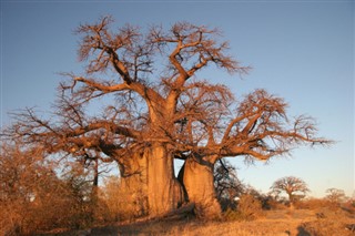 Botswana weather forecast