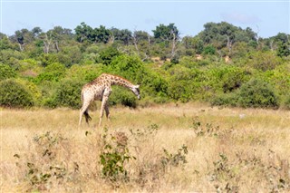 Botswana pronóstico del tiempo