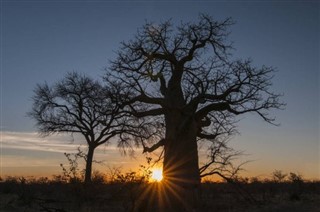 Botswana weather forecast