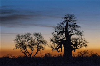 Botswana weather forecast