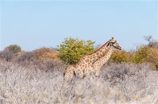 Botswana weersvoorspelling