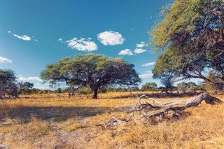 Botswana weather forecast