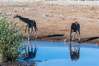 Botswana weather forecast