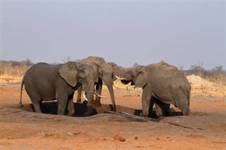 Botswana weersvoorspelling