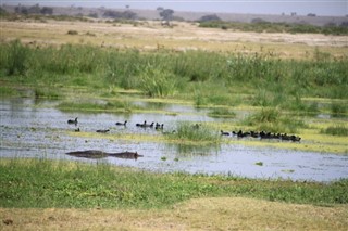 Botswana weather forecast