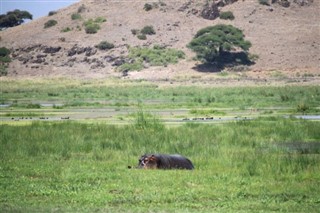 Botswana weersvoorspelling