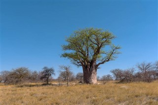 Botswana weather forecast