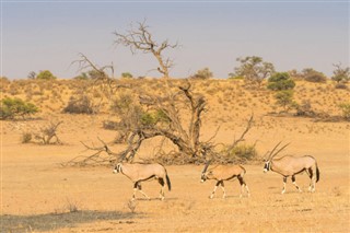 Botswana weather forecast