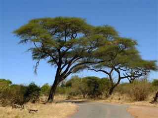 Botswana weather forecast