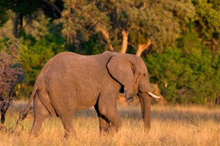 Botswana pronóstico del tiempo