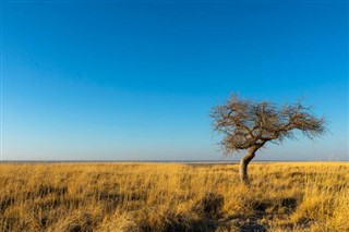 Botswana weather forecast