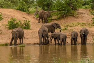 Botswana pronóstico del tiempo