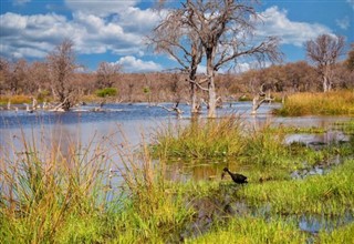 Botswana weather forecast