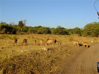 Botswana weather forecast