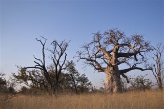 Botswana weather forecast