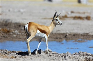 Botswana weather forecast