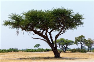 Botswana weather forecast