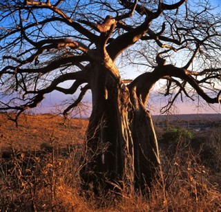 Botswana weather forecast