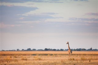 Botswana weather forecast