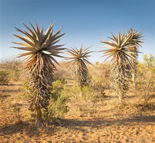 Botswana weather forecast