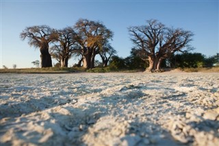 Botswana weather forecast