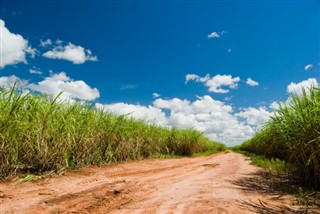 Brazil weather forecast