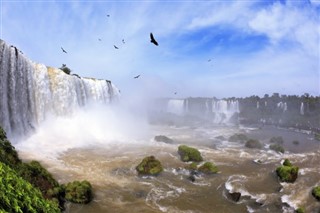 Brazil weather forecast