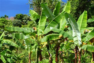 British Virgin Islands weather forecast