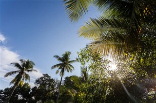 Brunei weather forecast