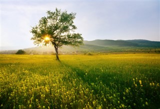 Bulgaria weather forecast