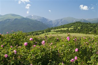 Bulgaria weather forecast