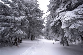 Bulgaria weather forecast