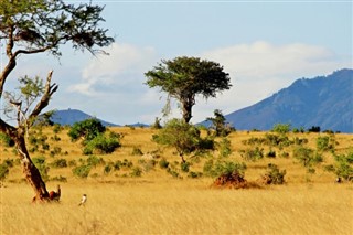 Burkina Faso weather forecast