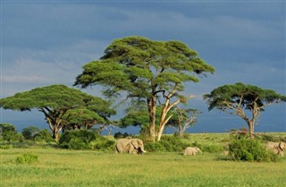 Burkina Faso weather forecast