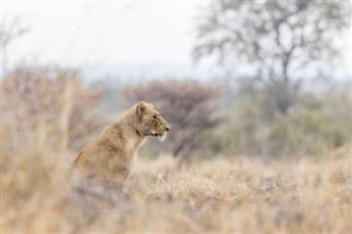 Burkina Faso prognoza pogody