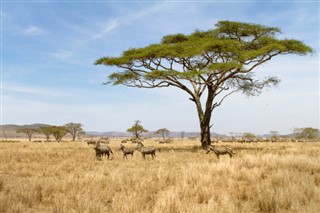 Burkina Faso weather forecast