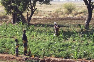 Burkina Faso weather forecast